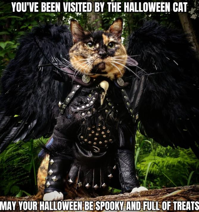 Name:  EllOopFU8AIpqrg.jpg
Views: 444
Size:  94.3 KB