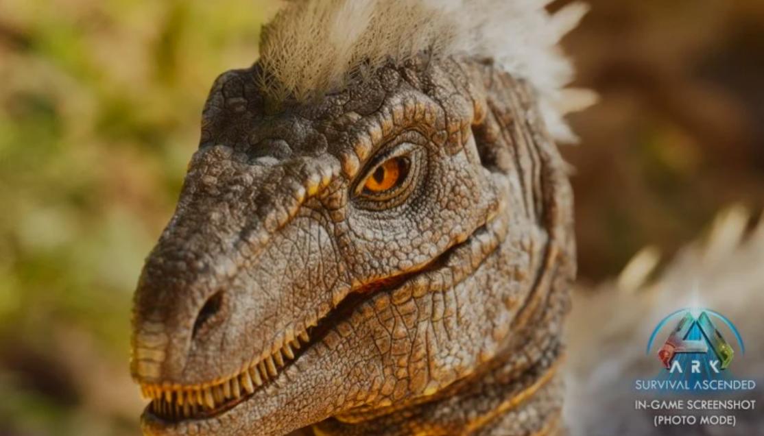 Name:  ARK.jpg
Views: 37
Size:  77.0 KB