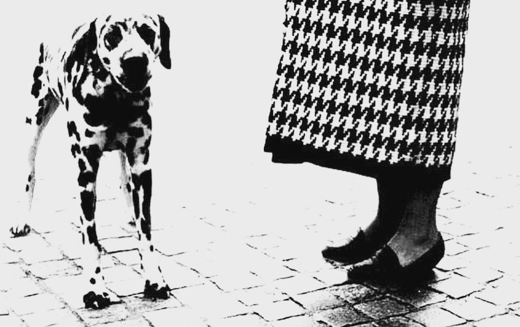 Name:  4BDDC03F-9867-4200-8836-46234C80B0FE.jpg
Views: 79
Size:  81.4 KB