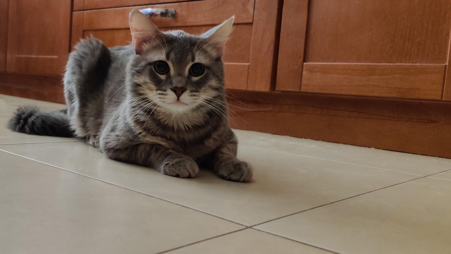 Name:  IMG_20210201_141158.jpg
Views: 71
Size:  90.9 KB