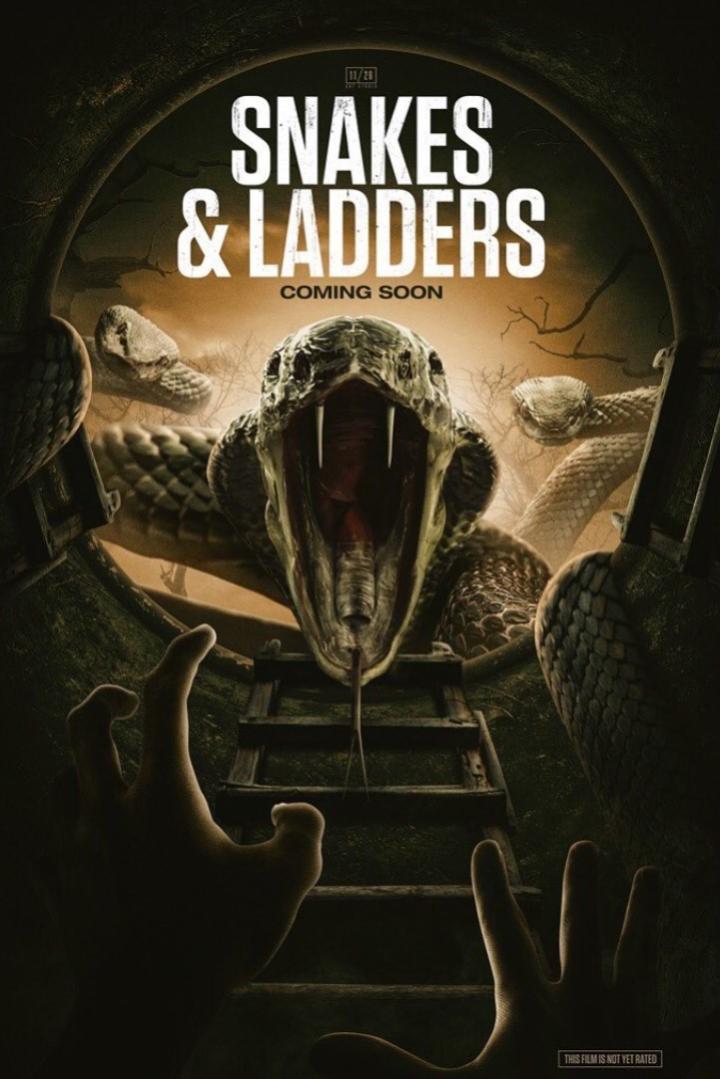 Name:  classic-board-games-horror-movie-posters-snakes-and-ladders.jpg
Views: 2455
Size:  80.9 KB