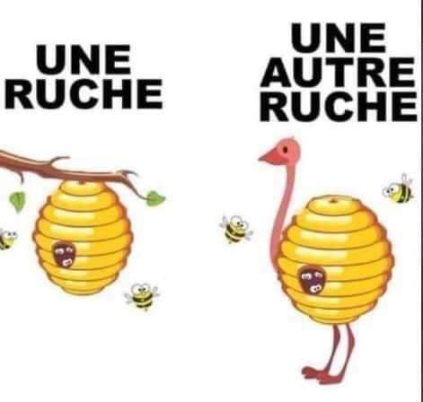 Name:  F9XkcRgXMAAPcEw.jpg
Views: 50
Size:  15.6 KB