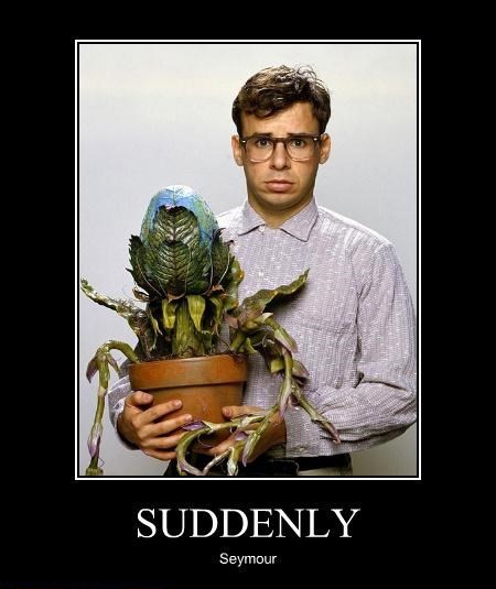 Name:  suddenly.jpg
Views: 58
Size:  46.3 KB