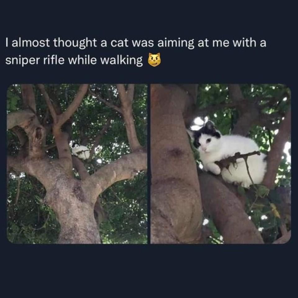 Name:  20231109_213900.jpg
Views: 31
Size:  78.3 KB