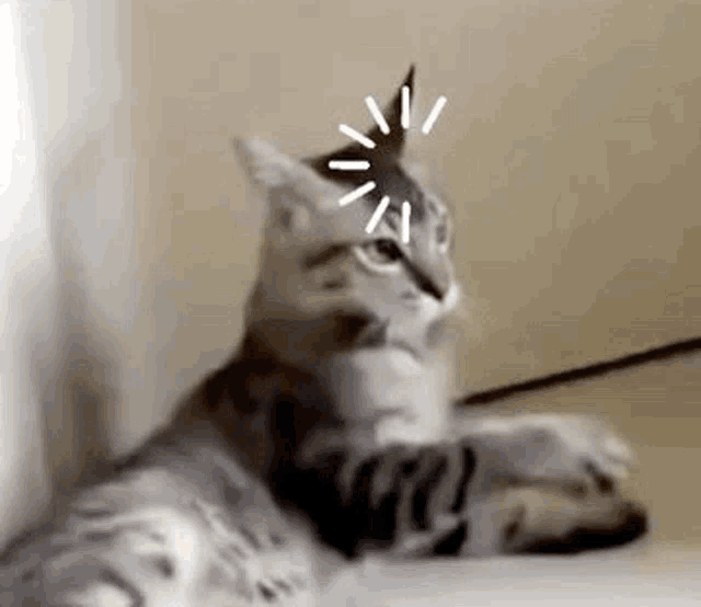 Name:  loading-shocktin.gif
Views: 299
Size:  395.4 KB