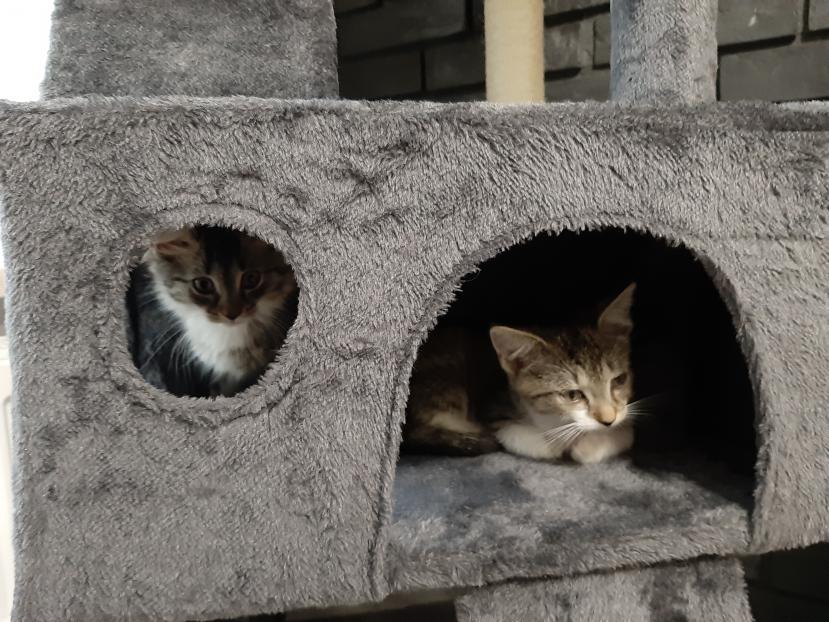 Name:  20231014_165142.jpg
Views: 106
Size:  97.2 KB