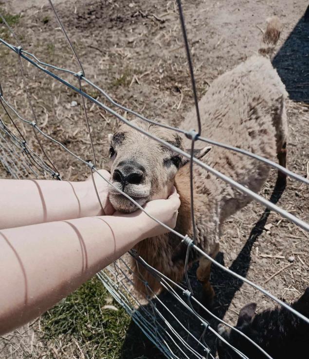 Name:  374969124_1488410851977259_1317911799744681817_n.jpg
Views: 79
Size:  97.1 KB