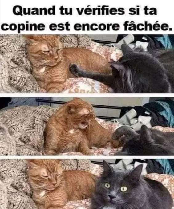 Name:  F_4lFKAXsAA9cIN.jpg
Views: 63
Size:  91.0 KB