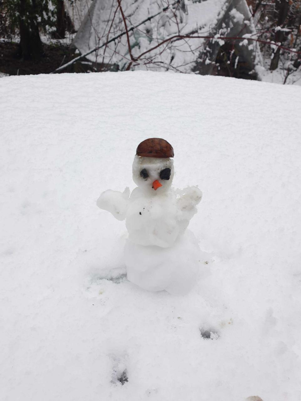 Name:  20201129_124623.jpg
Views: 92
Size:  82.5 KB