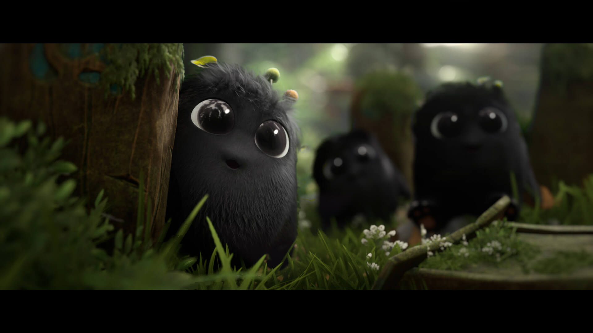 Name:  KenaRotVideogame (1).jpeg
Views: 606
Size:  83.5 KB