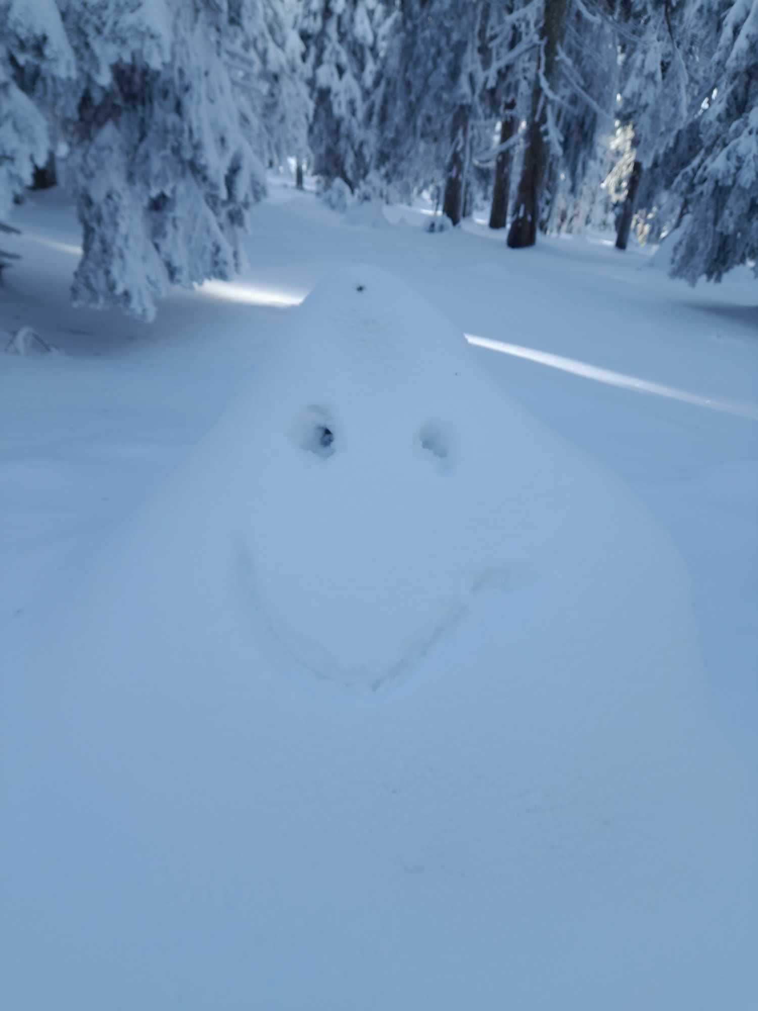 Name:  received_750557043581098.jpeg
Views: 98
Size:  65.1 KB