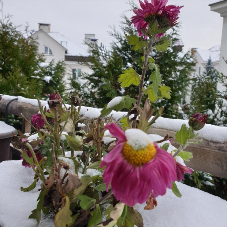 Name:  Screenshot_20231214-204746_Gallery.jpg
Views: 83
Size:  89.1 KB