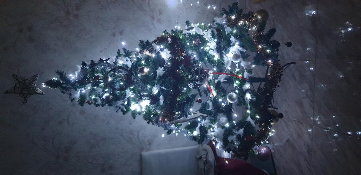 Name:  20231222_181321.jpg
Views: 17
Size:  97.8 KB