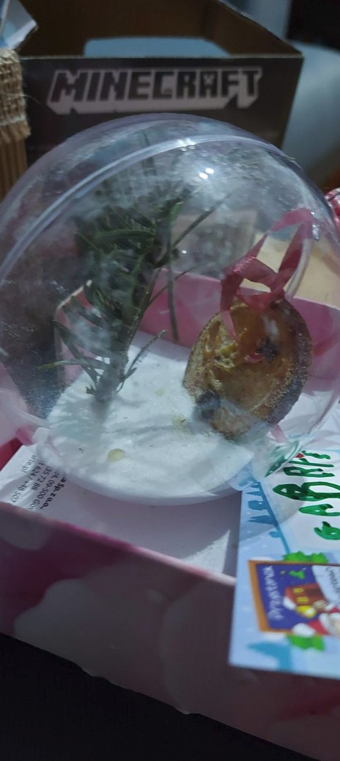 Name:  Screenshot2024-01-03170736.jpg
Views: 38
Size:  85.6 KB