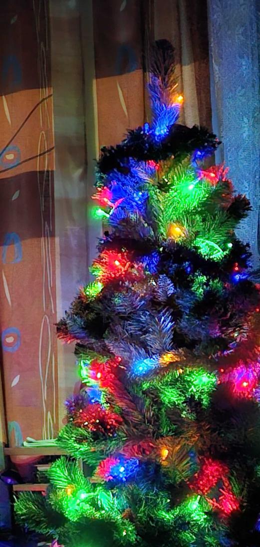 Name:  20240103_181426.jpg
Views: 54
Size:  106.2 KB