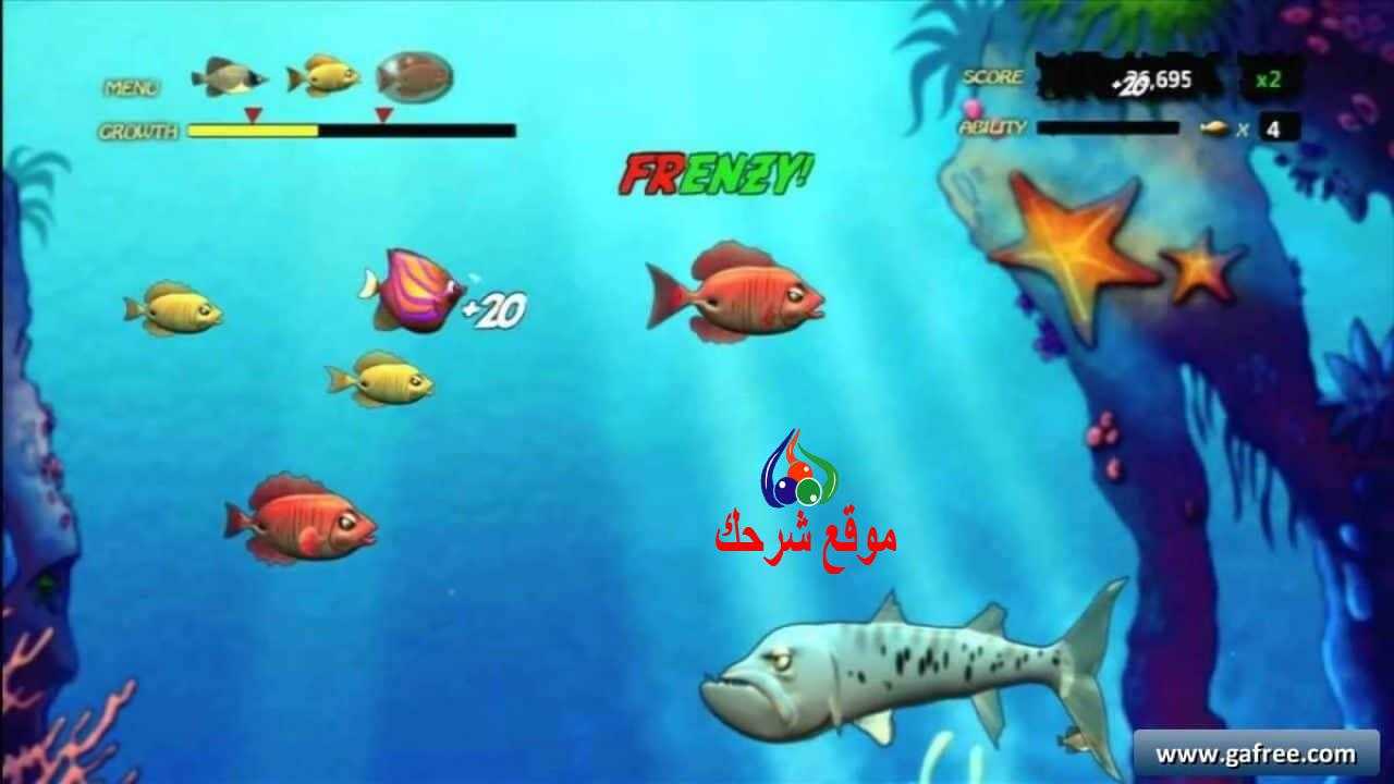 Name:  1704472640601.jpg
Views: 193
Size:  47.2 KB