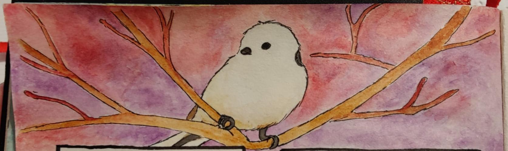 Name:  longtailedtit.jpg
Views: 123
Size:  99.5 KB