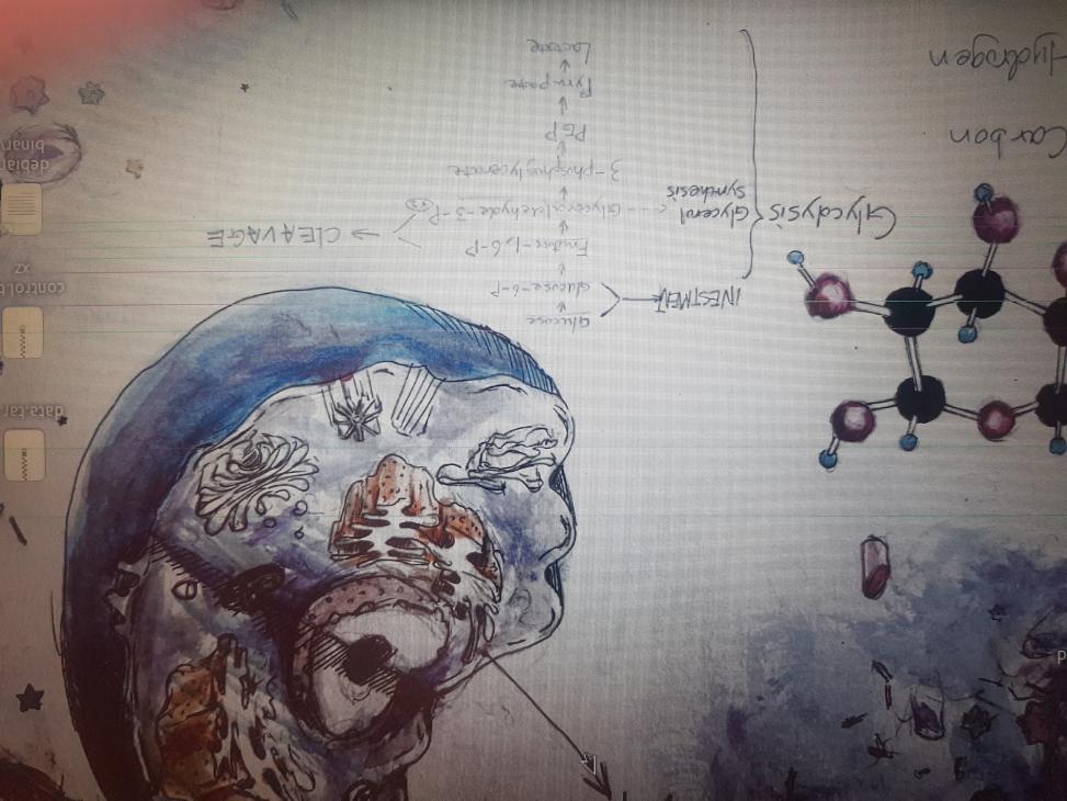 Name:  20240115_140137.jpg
Views: 429
Size:  93.3 KB