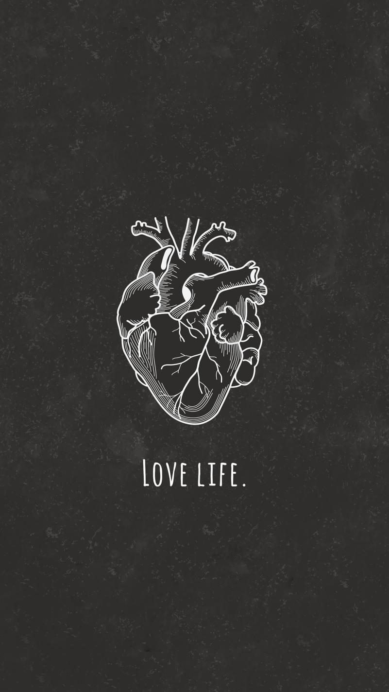 Name:  Lovelife4012_rectangle.jpg
Views: 475
Size:  89.9 KB