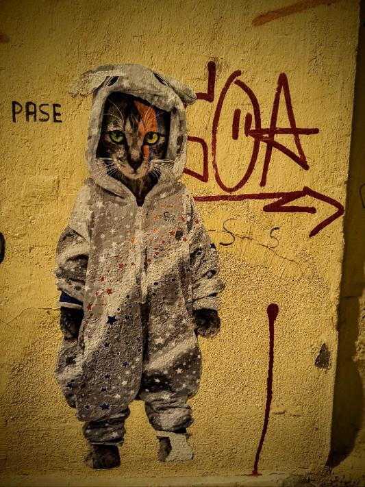 Name:  photo_2024-01-18_19-07-12.jpg
Views: 80
Size:  98.3 KB