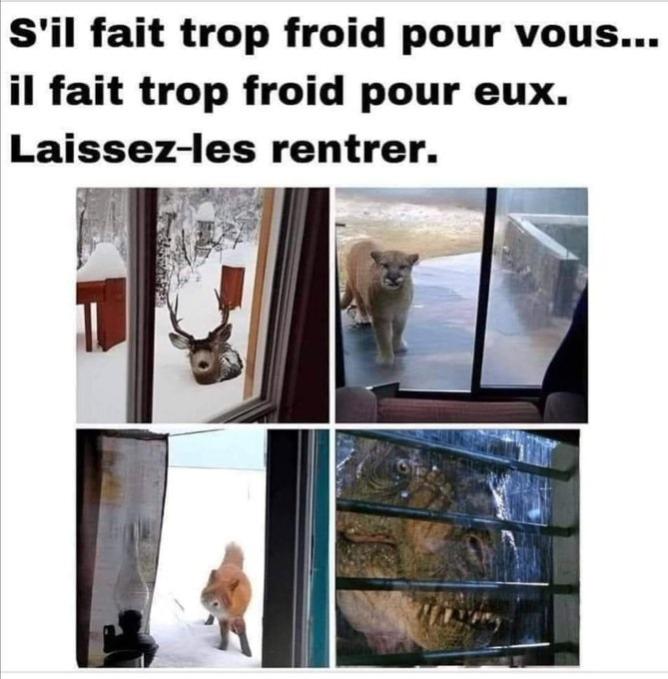 Name:  GEWmvzbWYAARR3E.jpg
Views: 59
Size:  58.5 KB