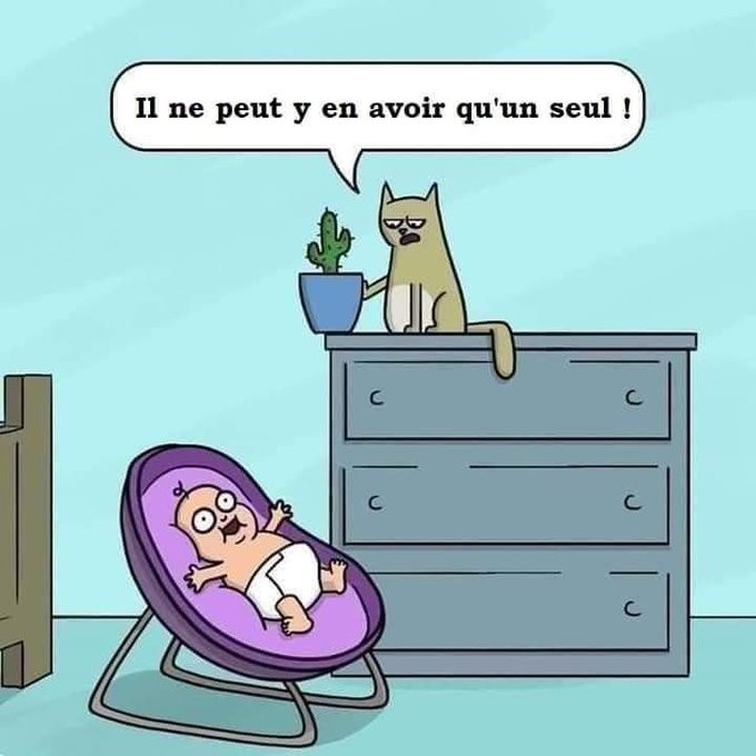 Name:  GEiC_uxW8AAFxPe.jpeg
Views: 46
Size:  64.9 KB