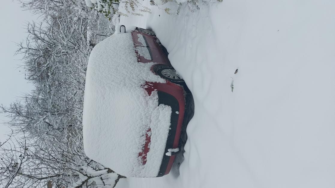 Name:  20231203_110620.jpg
Views: 27
Size:  97.6 KB