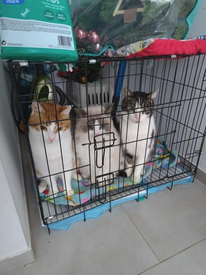 Name:  Screenshot2024-01-26164206.jpg
Views: 83
Size:  81.2 KB