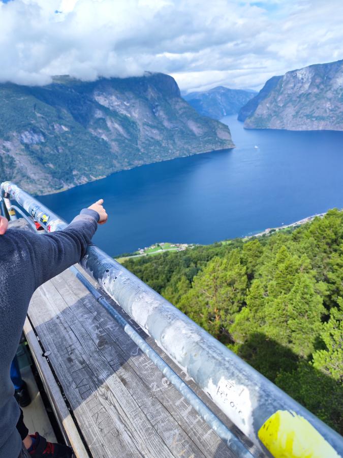 Name:  IMG_20230805_120507.jpg
Views: 39
Size:  95.3 KB