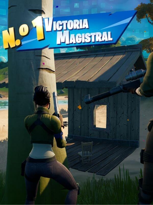 Name:  FortniteVictory (1).jpg
Views: 1906
Size:  59.9 KB