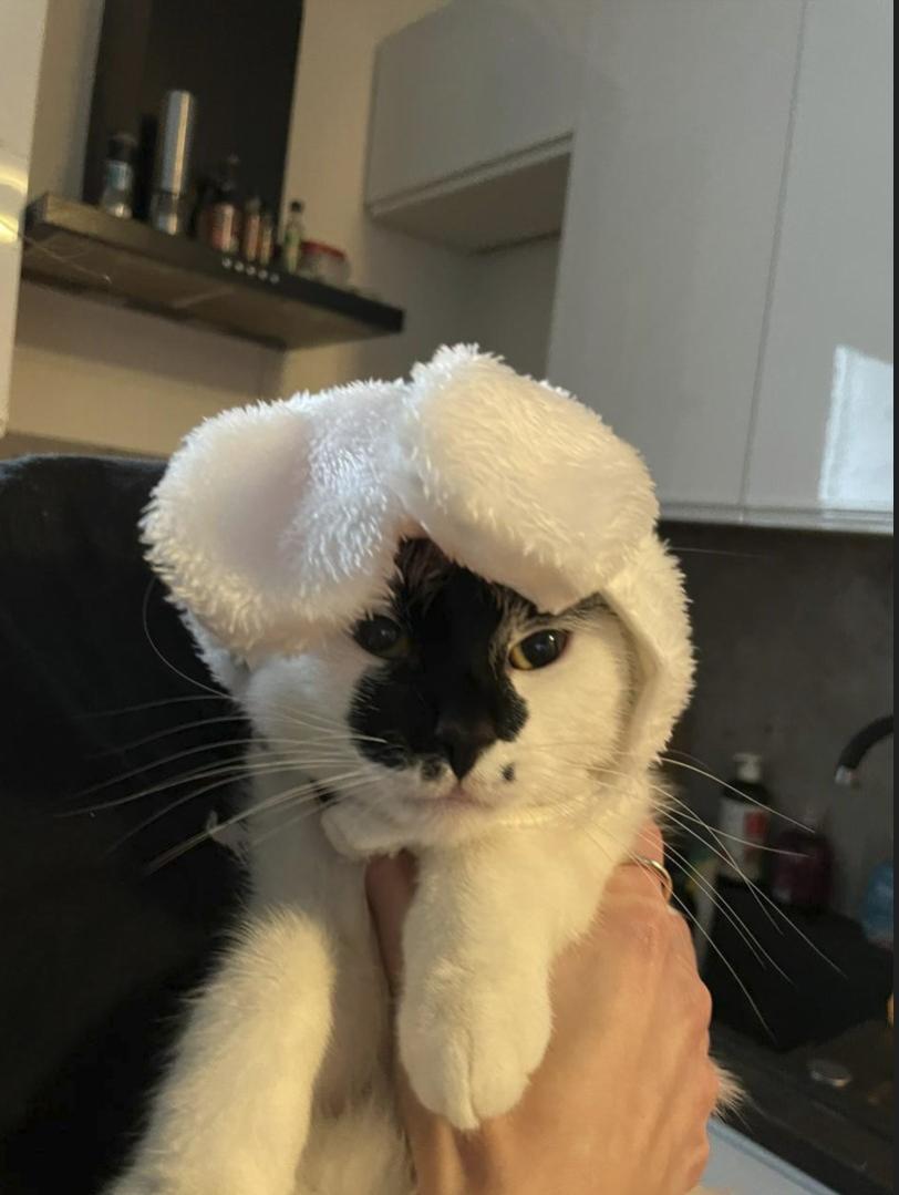 Name:  Screenshot2024-01-30105332.jpg
Views: 32
Size:  62.3 KB