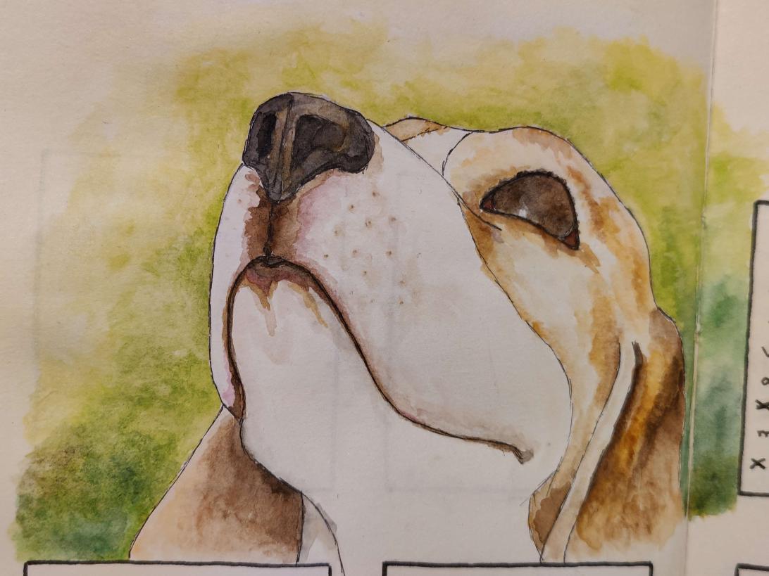 Name:  IMG20240128231618.jpg
Views: 50
Size:  91.4 KB