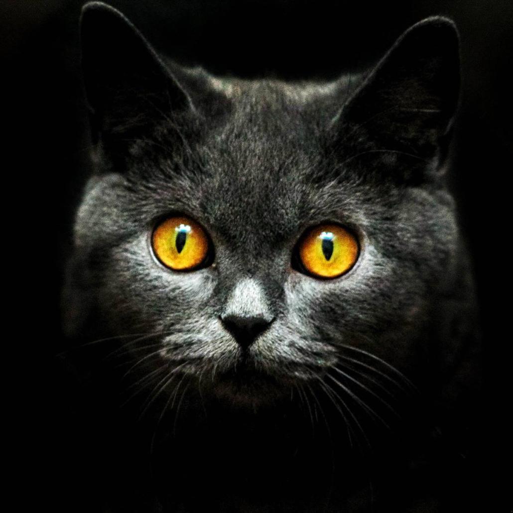 Name:  241046584_1487238654972710_2913957185807453790_n.jpg
Views: 35
Size:  89.4 KB