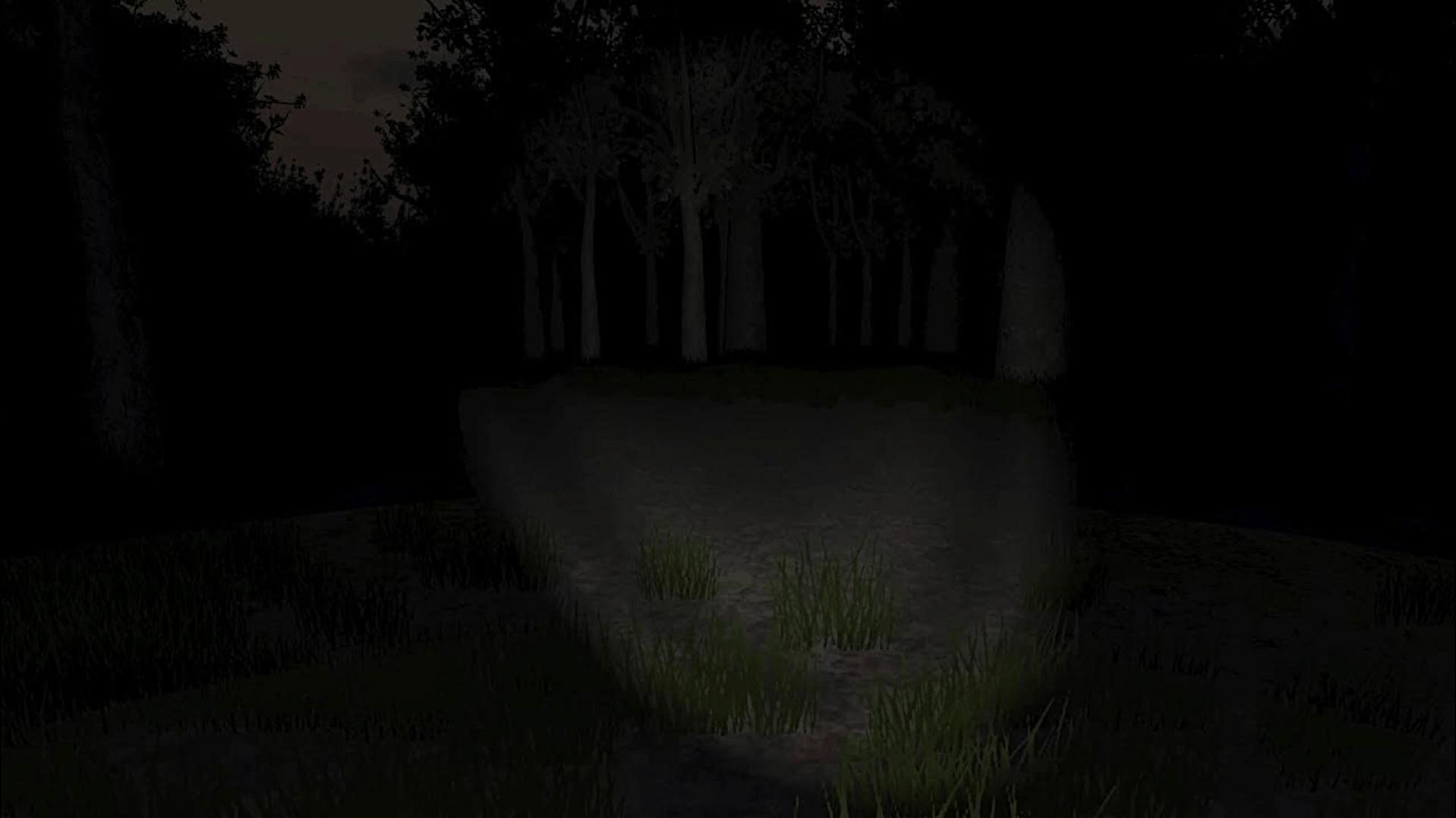 Name:  1slenderwoods.jpg
Views: 118
Size:  77.6 KB