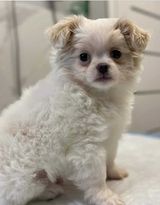 Name:  417032625_370838165586005_8630828933978387159_n.jpg
Views: 60
Size:  6.1 KB