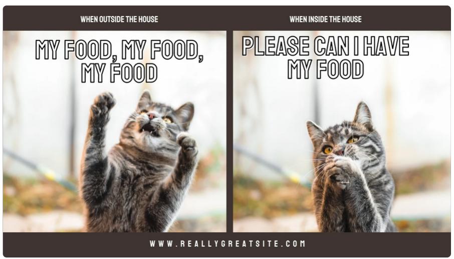 Name:  Captured'écran2024-02-02103445.jpg
Views: 59
Size:  59.5 KB