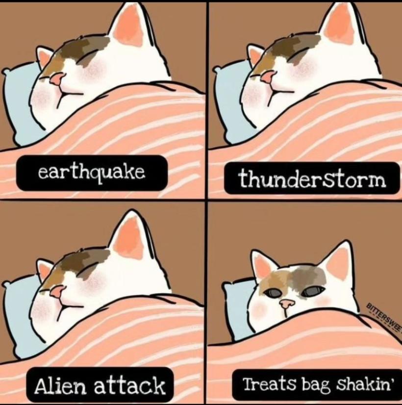 Name:  20240204_121713.jpg
Views: 54
Size:  78.2 KB