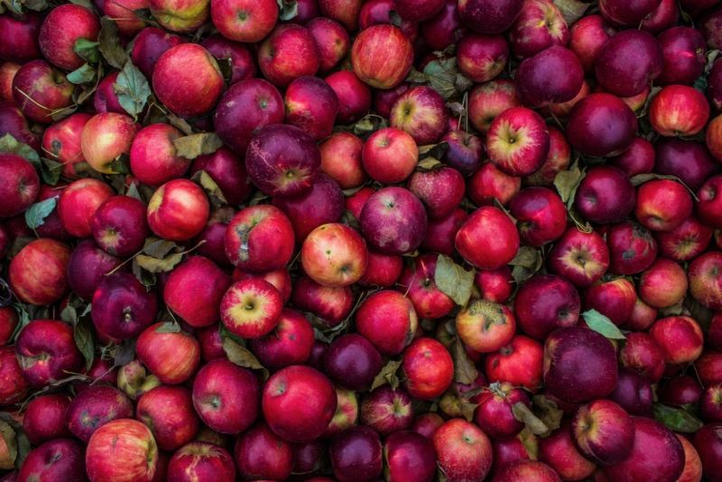 Name:  Screenshot2024-02-09161706.jpg
Views: 98
Size:  86.9 KB