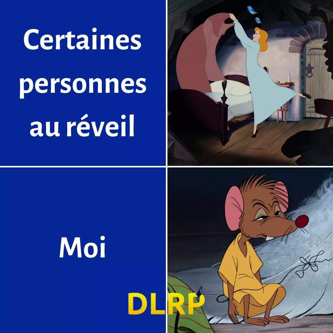 Name:  20240209_044858.jpg
Views: 57
Size:  79.6 KB