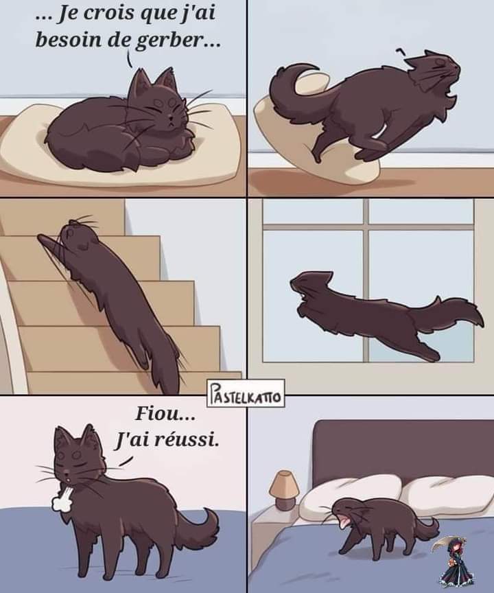 Name:  20240211_035216.jpg
Views: 44
Size:  47.8 KB