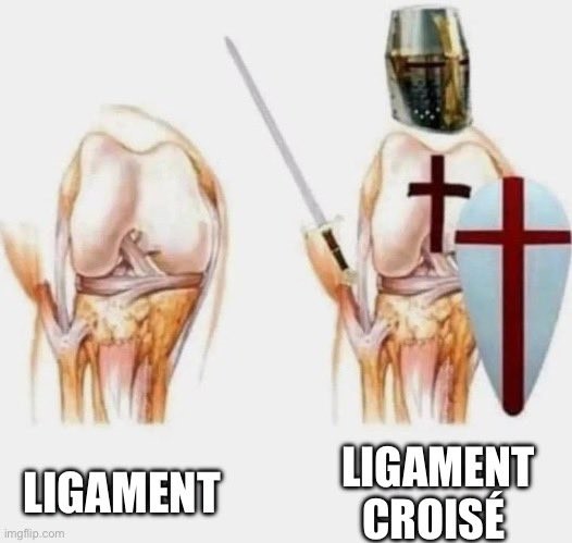 Name:  GFra_akXoAIp_Ad.jpg
Views: 28
Size:  41.7 KB