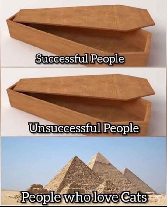 Name:  GFye4jcWgAALpKK.jpg
Views: 29
Size:  69.1 KB