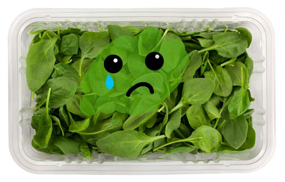 Name:  sad-spinach_orig.jpg
Views: 33
Size:  90.6 KB