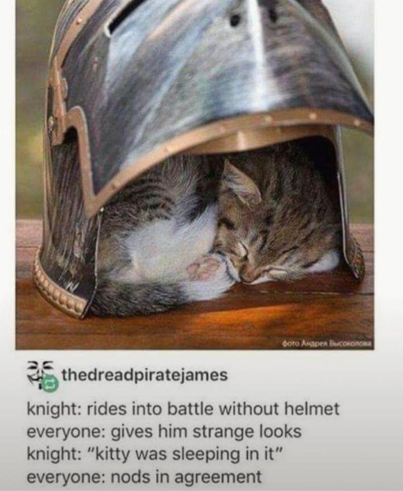 Name:  20240213_181827.jpg
Views: 44
Size:  84.2 KB