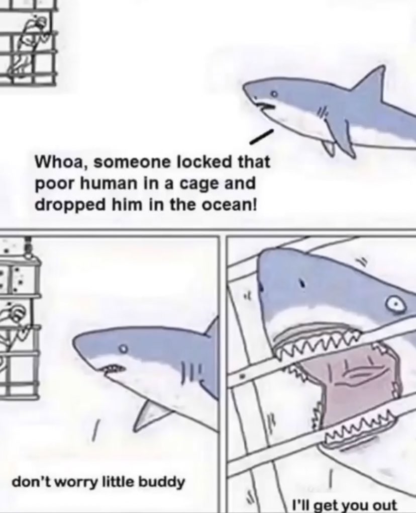 Name:  20240219_192343.jpg
Views: 29
Size:  70.4 KB