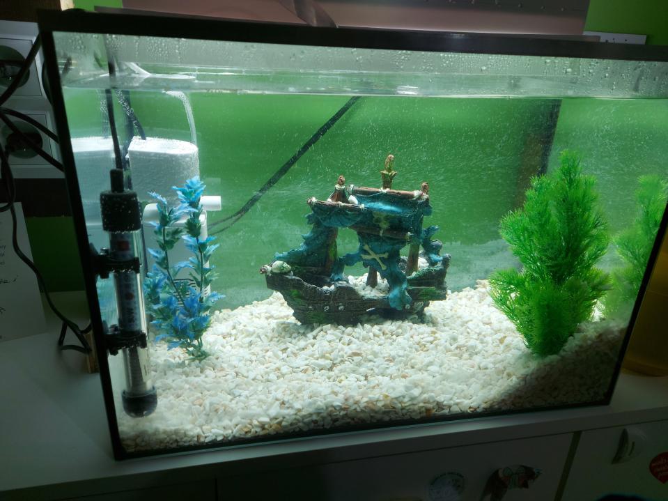 Name:  20240111_164717.jpg
Views: 51
Size:  92.8 KB