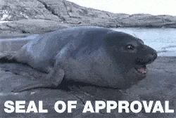 Name:  seal-approval-ezgif.com-optimize(1).gif
Views: 73
Size:  796.1 KB