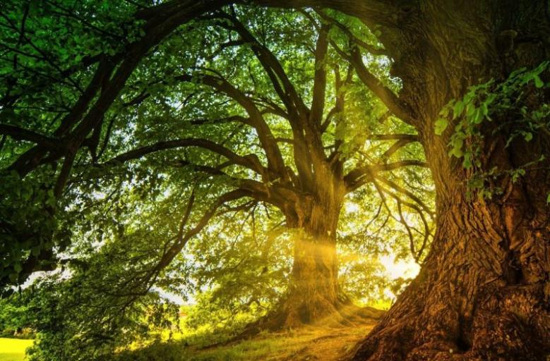 Name:  Screenshot2024-02-22175536.jpg
Views: 48
Size:  96.7 KB