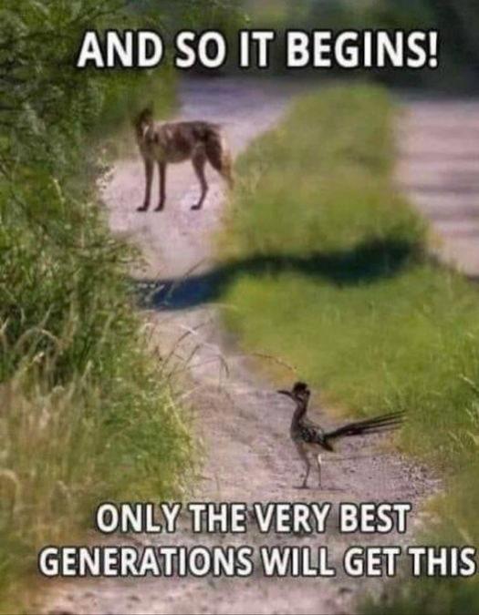 Name:  20240223_204212.jpg
Views: 19
Size:  49.9 KB