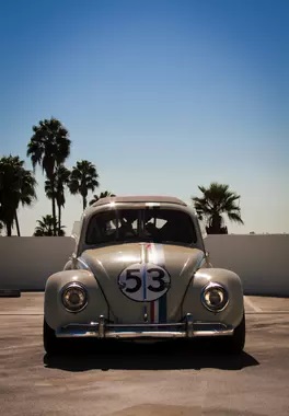 Name:  53.jpg
Views: 34
Size:  27.1 KB